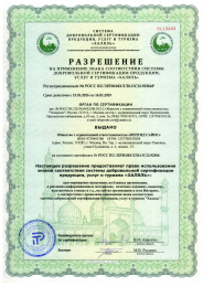 Cognitive Power 7 мл Спрей